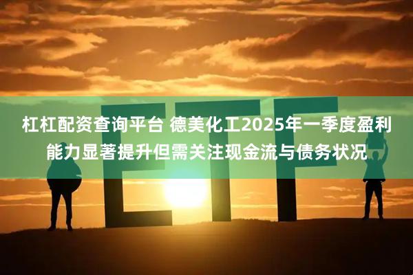 杠杠配资查询平台 德美化工2025年一季度盈利能力显著提升但需关注现金流与债务状况