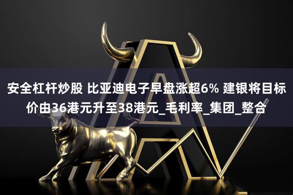安全杠杆炒股 比亚迪电子早盘涨超6% 建银将目标价由36港元升至38港元_毛利率_集团_整合